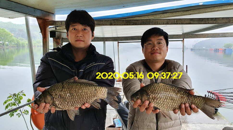 신원낚시터 6월2일토종대물 445짜리와 덩어리들 사진입니다 (유료터정보 - 유료터점주조황)