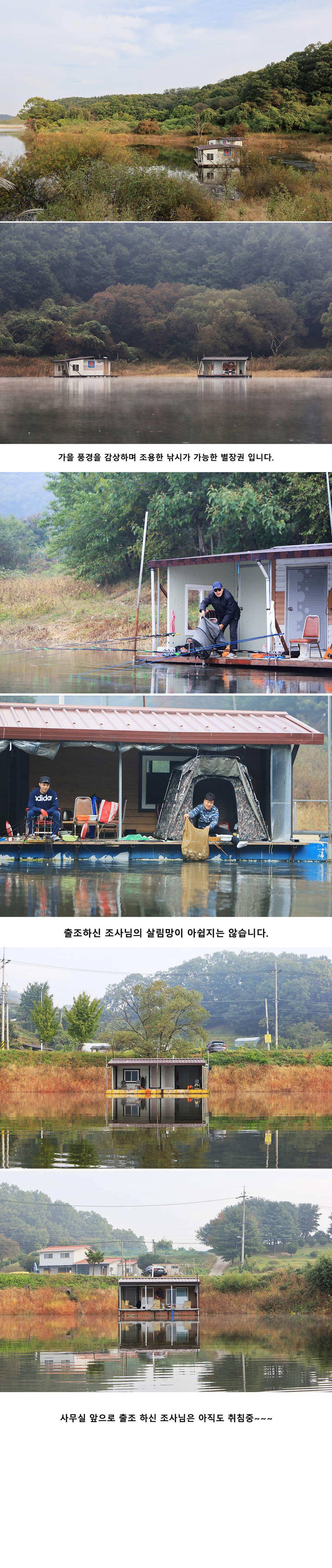 안성 두메낚시터 10월17일 조황안내 (유료터정보 - 유료터점주조황)