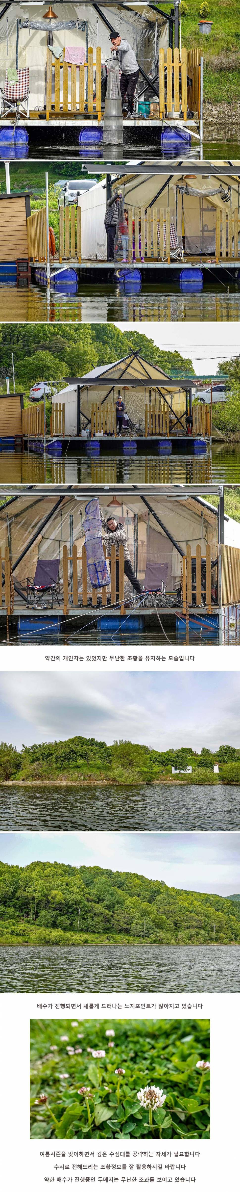 안성 두메낚시터 5월 7일 조황정보 (유료터정보 - 유료터점주조황)