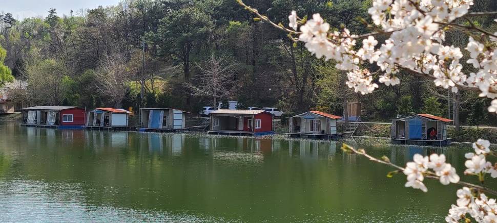 4월둘째주 양평 힐링 수곡낚시터 조황 붕어방류 (유료터정보 - 유료터점주조황)