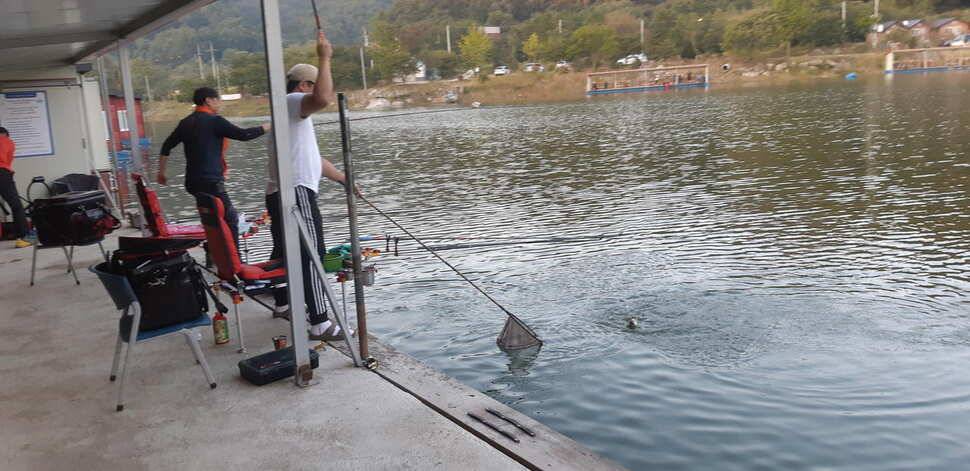 붕어낚시 양평 수곡낚시터 일요일 조황도 토요일과 비슷한 조황이었습니다 (유료터정보 - 유료터점주조황)