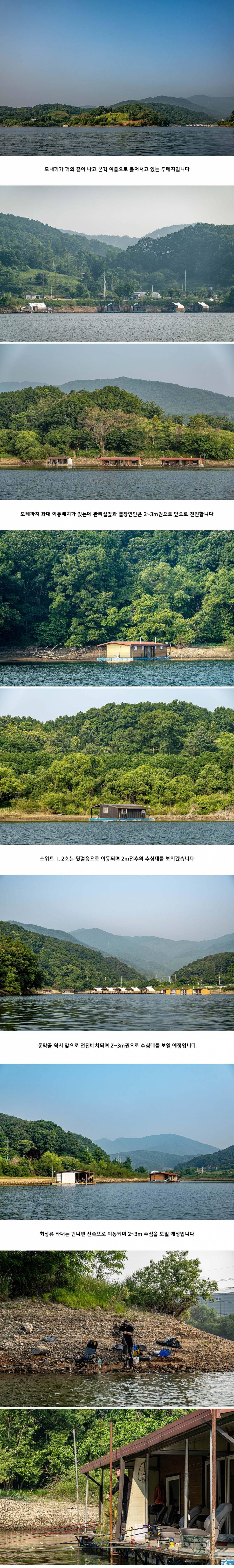 안성 두메낚시터 6월 3일 조황정보 (유료터정보 - 유료터점주조황)