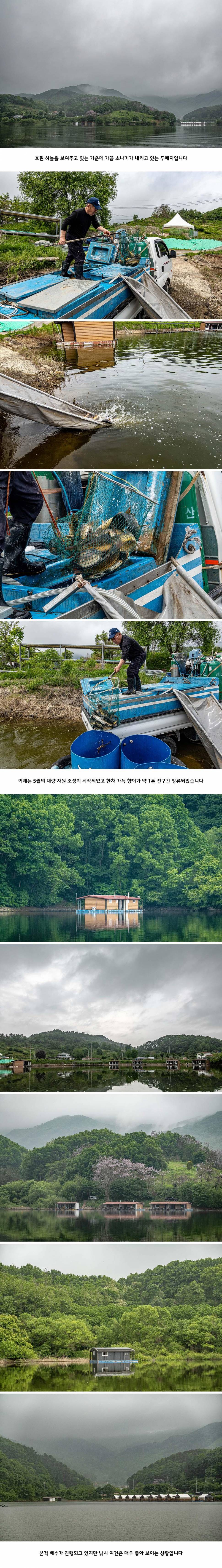 안성 두메낚시터 5월 16일 조황정보 (유료터정보 - 유료터점주조황)