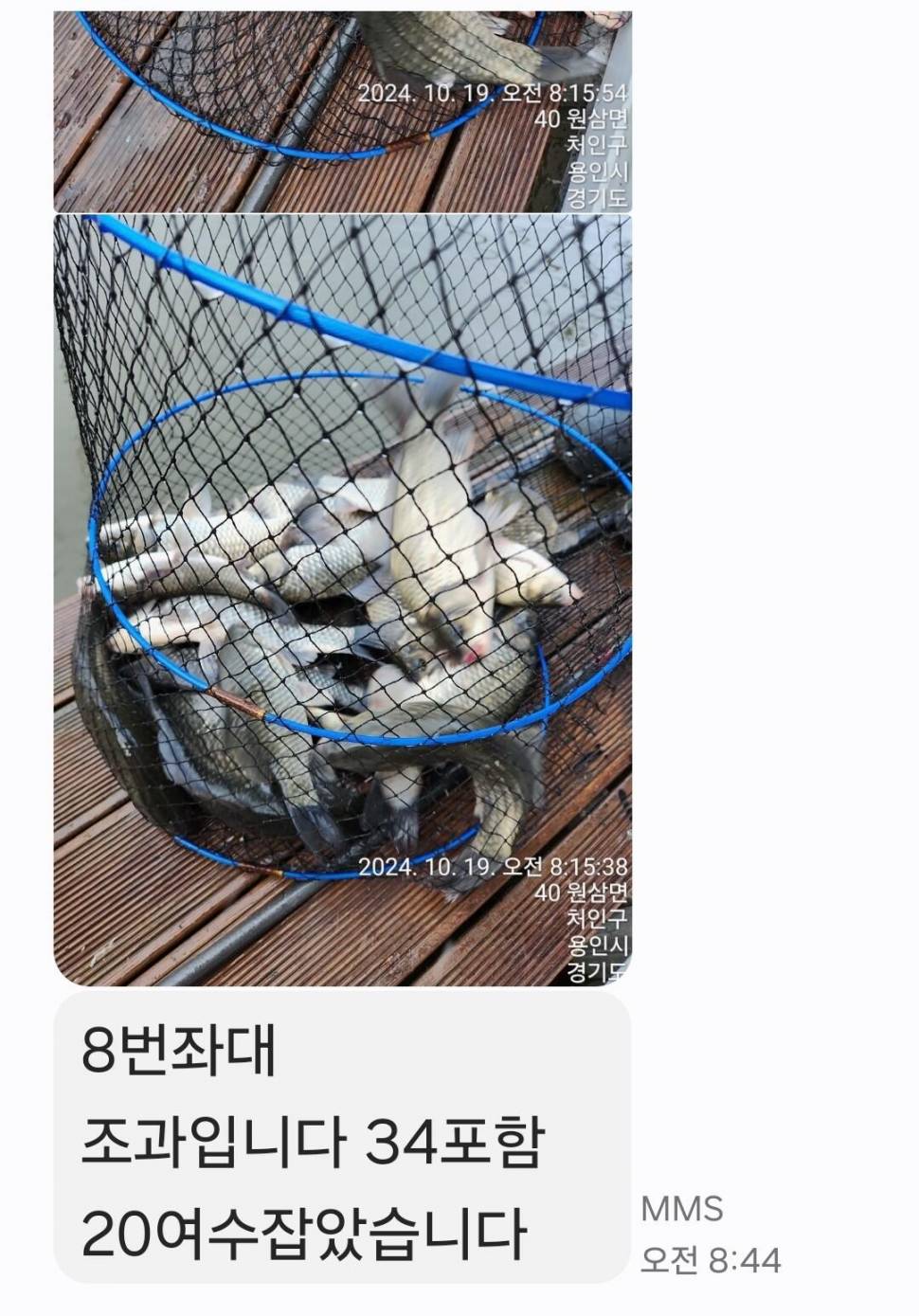2024년 10월 넷째주 조황정보 용담낚시터사암지사짜 11마리 (유료터정보 - 유료터점주조황)