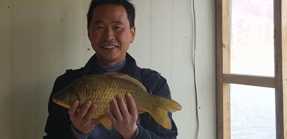힐링 양평 수곡낚시터 4짜 대물붕어주중조황 및 붕어방류수상좌대 할인요금 안내 (유료터정보 - 유료터점주조황)
