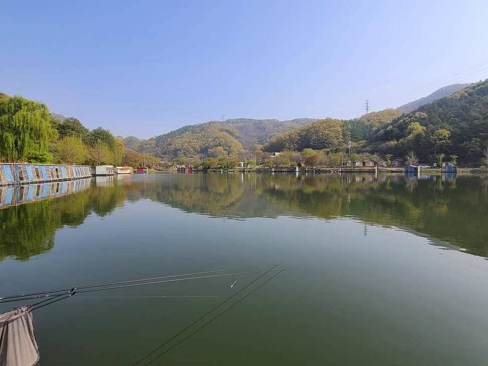 힐링 수곡낚시터 더좋은 조황이 나와주네요 오늘도 붕어방류 합니다 (유료터정보 - 유료터점주조황)