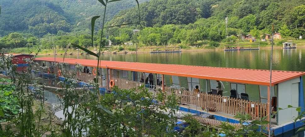 수곡낚시터 6월 세째주 금토 주말조황 및 붕어 방류 (유료터정보 - 유료터점주조황)
