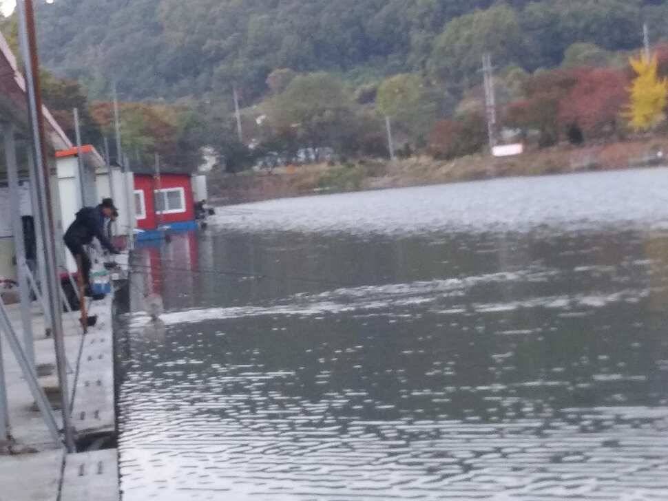 수곡낚시터 4짜 대물붕어가 또 나왔습니다 주말 조황 붕어방류 소식전합니다 (유료터정보 - 유료터점주조황)