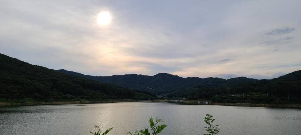 공주 고성낚시터 입니다 (유료터정보 - 유료터점주조황)