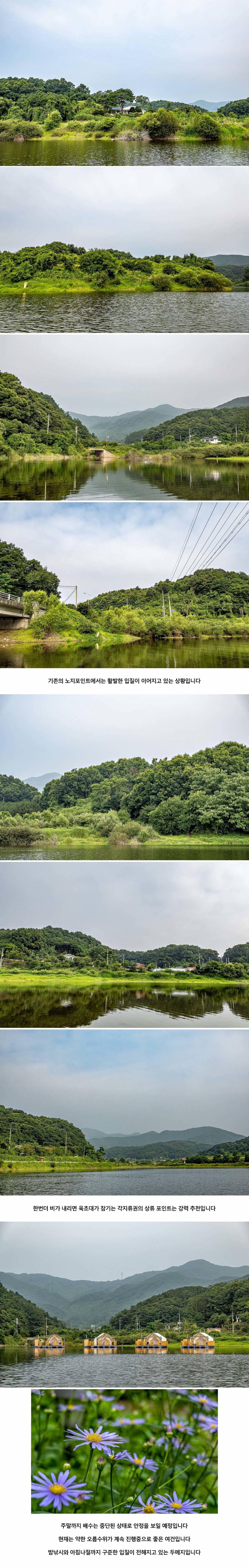 안성 두메낚시터 7월 17일 조황정보 (유료터정보 - 유료터점주조황)