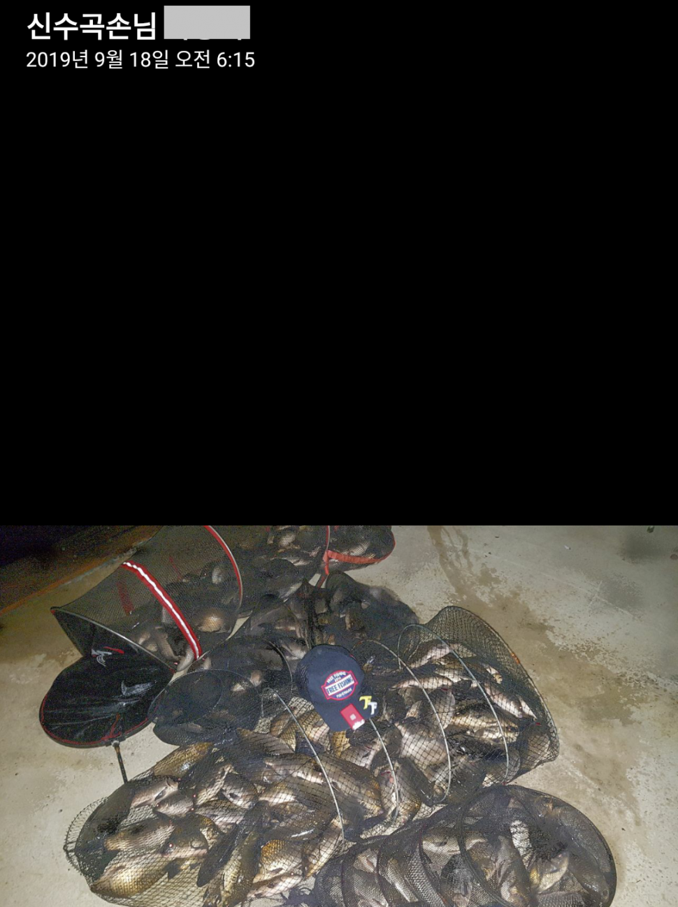 양평 붕어낚시 수곡낚시터 초대박 조황과 고른 조황이며 낮시간 부터 붕어들이 나와주네요 (유료터정보 - 유료터점주조황)