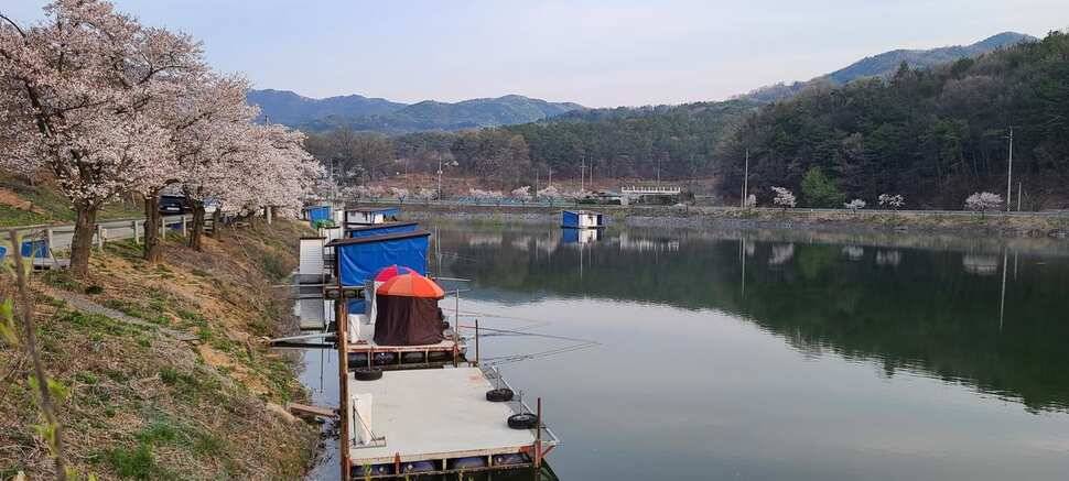 공주 고성낚시터 입니다 (유료터정보 - 유료터점주조황)