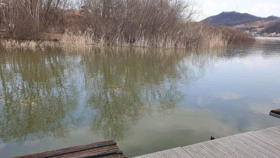 아산 명품 월랑낚시터 3월 첫번째 조황이야기입니다 (유료터정보 - 유료터점주조황)
