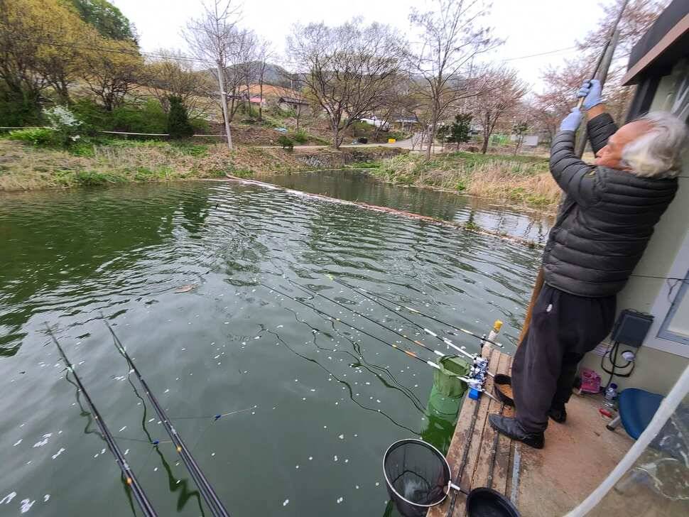 힐링 양평 수곡낚시터 주중주말 조황 및 붕어방류 안내 (유료터정보 - 유료터점주조황)