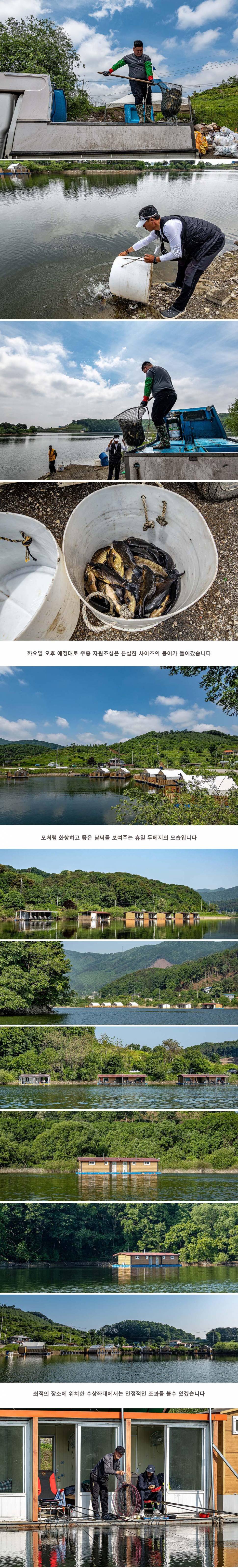 안성 두메낚시터 5월 19일 조황정보 (유료터정보 - 유료터점주조황)