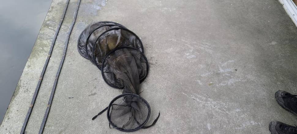 공주 고성낚시터 입니다 (유료터정보 - 유료터점주조황)