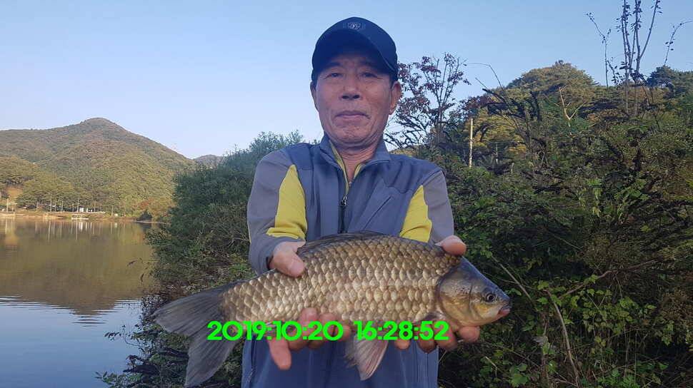 신원낚시터 10월21일 토종 49센티 붕어 구경하시고 가시겠습니다 (유료터정보 - 유료터점주조황)