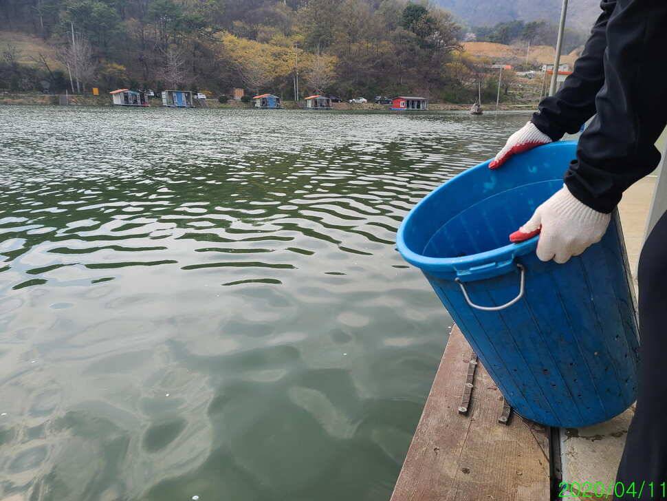 힐링 양평 수곡낚시터 주말조황 및 방류안내 (유료터정보 - 유료터점주조황)