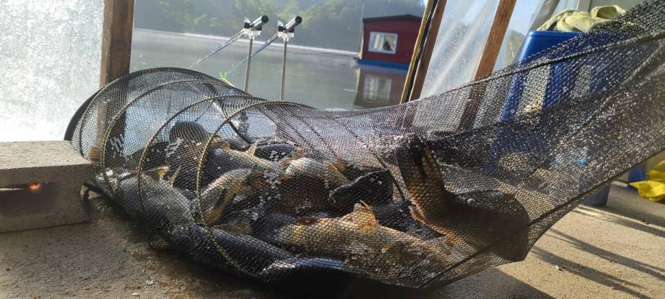 5월 첫주 금토요일 주말 수곡낚시터 조황 및 붕어방류 안내 (유료터정보 - 유료터점주조황)