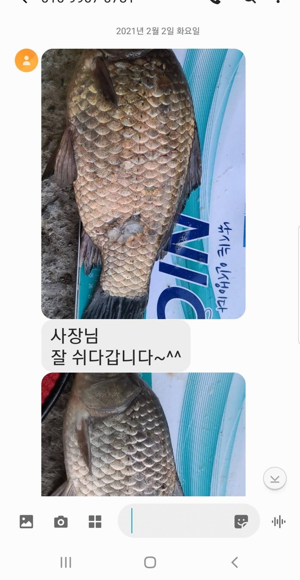 2021년 2월 첫째주 조황정보 용인 용담낚시터사암지 (유료터정보 - 유료터점주조황)