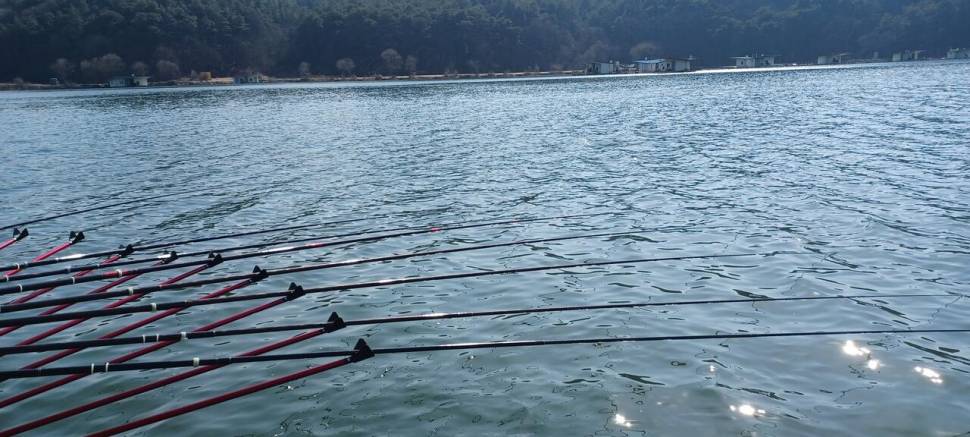 날씨가 따듯하니 입질이좋아졌네요 주말기대해도 좋을듯합니다 (유료터정보 - 유료터점주조황)