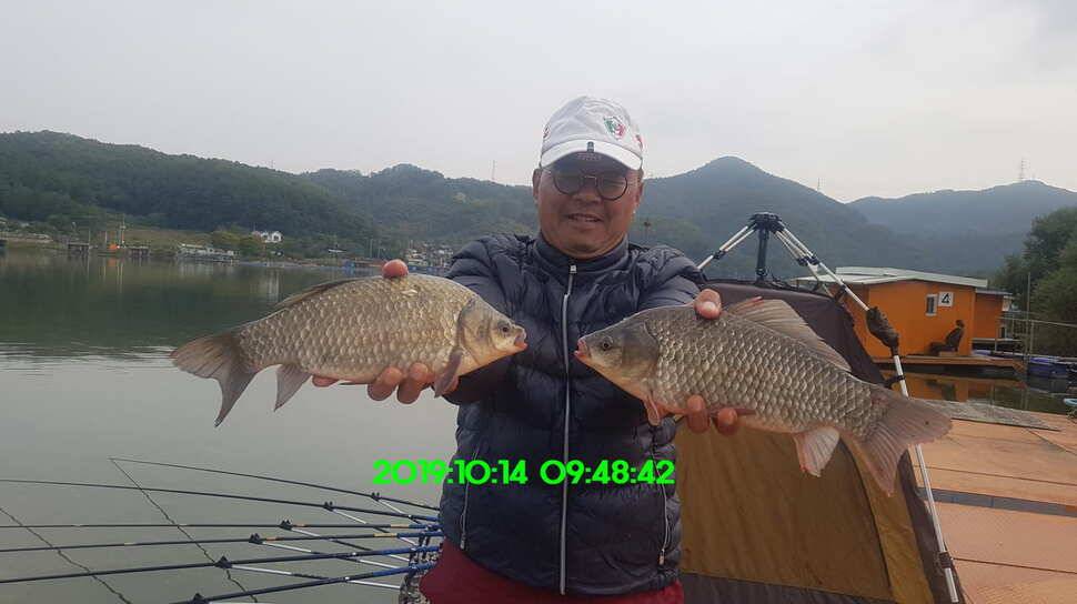 신원낚시터 토종48짜리가 또다시 나와주네요 (유료터정보 - 유료터점주조황)