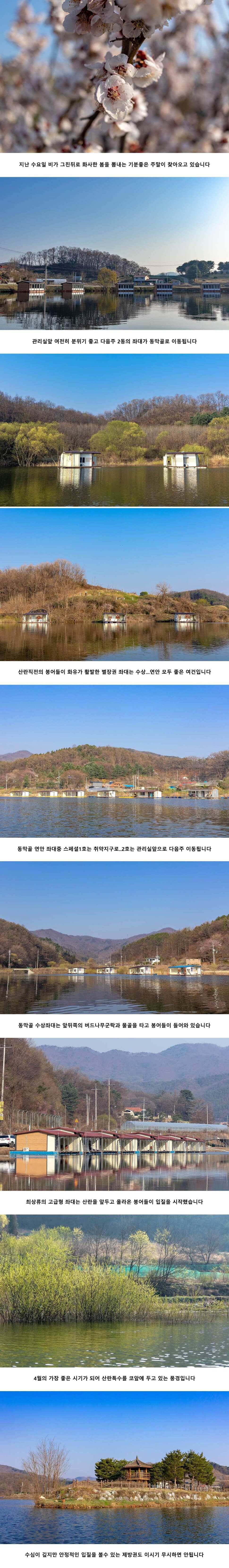 안성 두메낚시터 4월 12일 조황정보 (유료터정보 - 유료터점주조황)