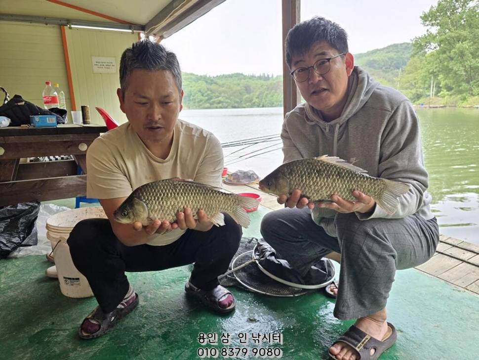 가깝고 물 좋고 경치 좋은 곳용인삼인낚시터 (유료터정보 - 유료터점주조황)
