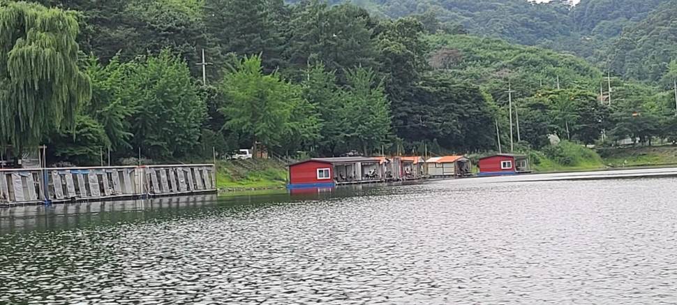 여름피서 양평낚시터 힐링 수곡낚시터 대박조황 어제도 나왔습니다 (유료터정보 - 유료터점주조황)