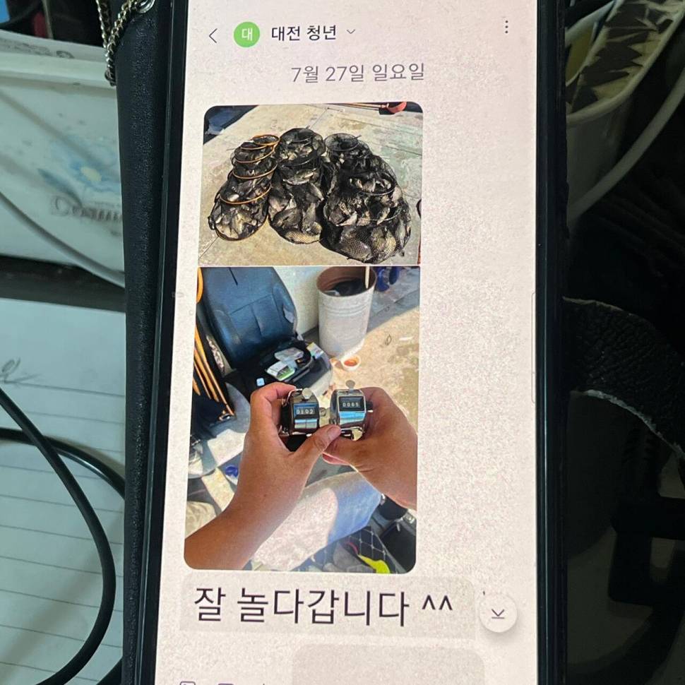 조황입니다 (유료터정보 - 유료터점주조황)