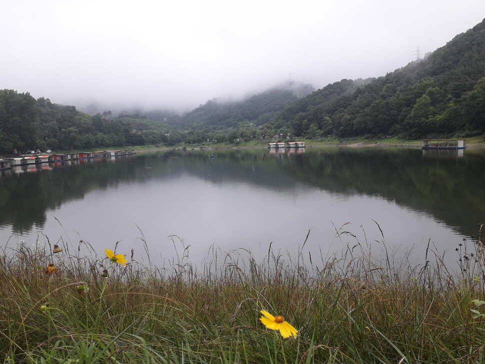붕어낚시 양평 힐링 수곡낚시터 주말 조황 붕어방류 안내드립니다 (유료터정보 - 유료터점주조황)