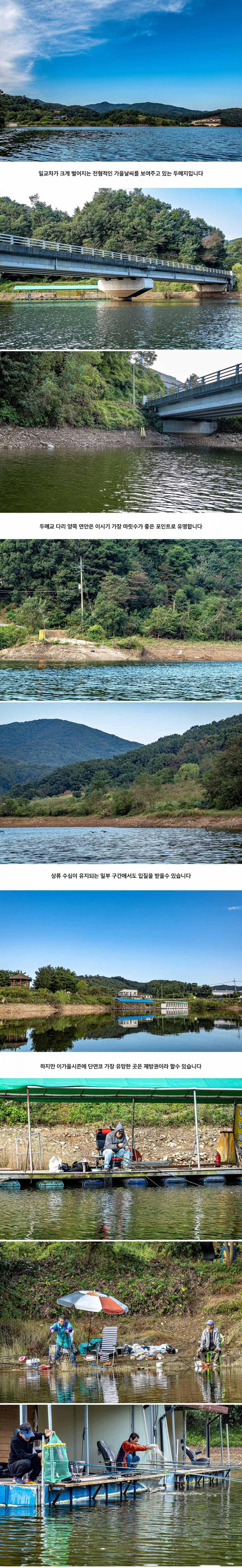 안성 두메낚시터 9월 22일 조황정보 (유료터정보 - 유료터점주조황)