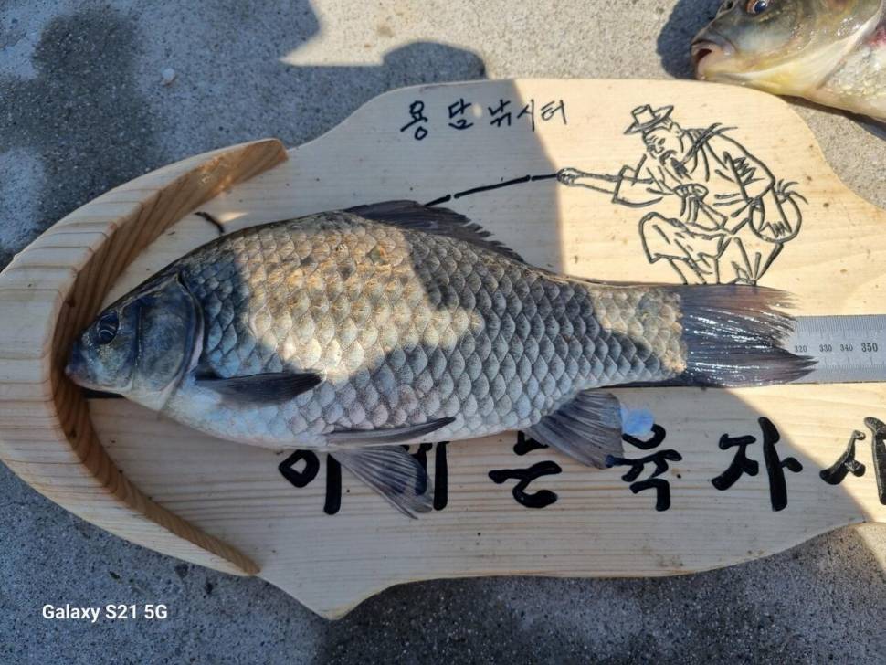 2024년 05월 둘째주 조황정보 용담낚시터사암지 (유료터정보 - 유료터점주조황)