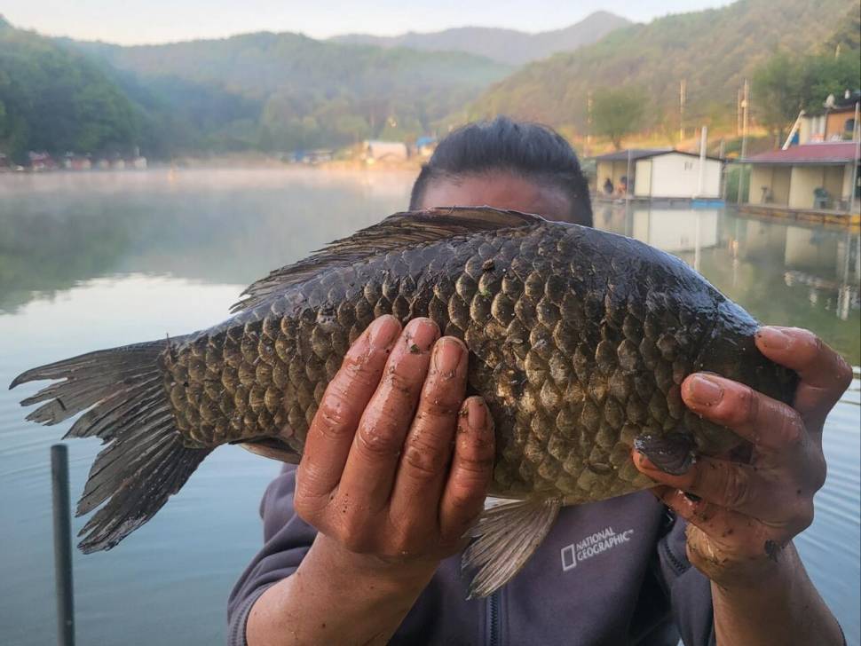 산란특수 덩어리 무더기로 나옵니다 (유료터정보 - 유료터점주조황)