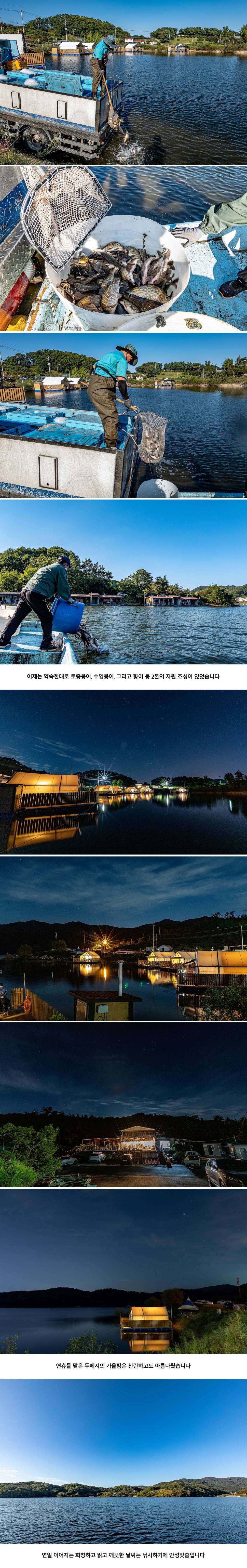 안성 두메낚시터 10월 10일 조황정보 (유료터정보 - 유료터점주조황)