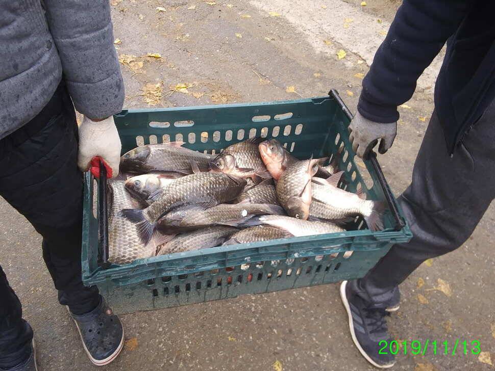 양평 힐링 수곡 낚시터 오늘도 자연산 대물붕어 방류 및 화요일 조황 안내 (유료터정보 - 유료터점주조황)