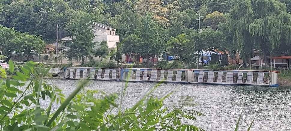 양평낚시터 힐링 수곡낚시터 어제 월요일 조황도 편차는 있지만 꾸준합니다 (유료터정보 - 유료터점주조황)