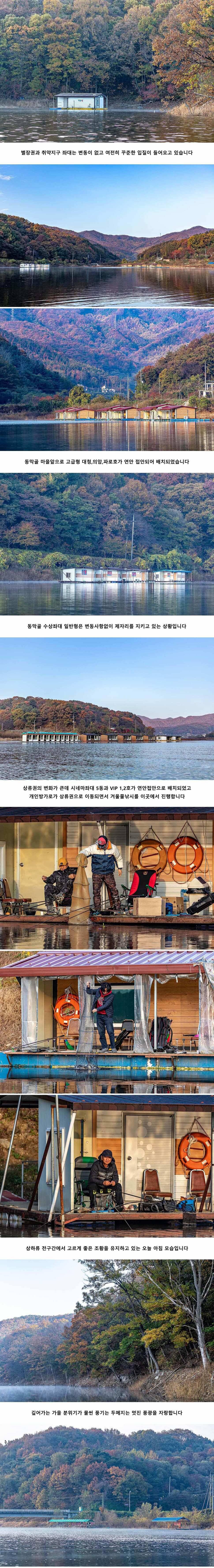 안성 두메낚시터 11월 7일 조황정보 (유료터정보 - 유료터점주조황)