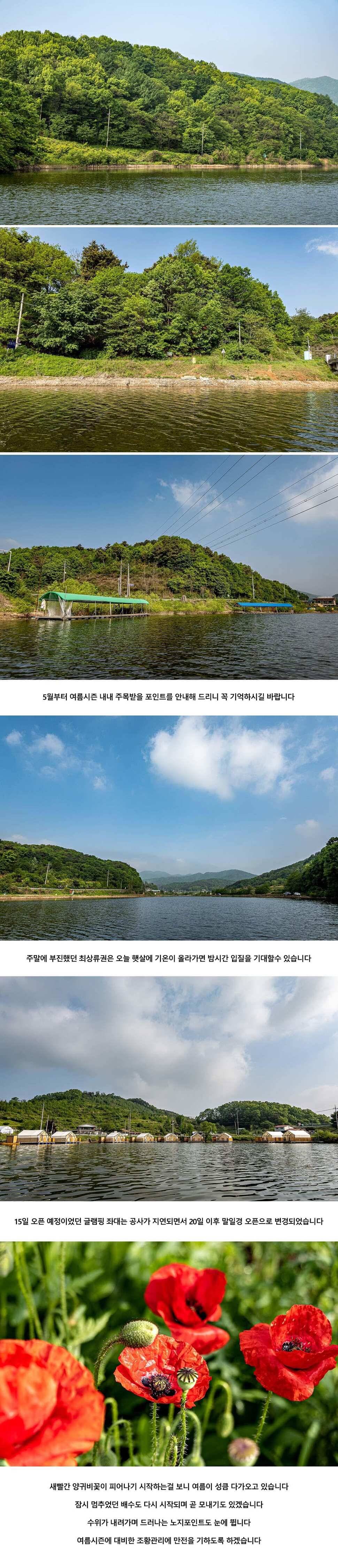 안성 두메낚시터 5월 11일 조황정보 (유료터정보 - 유료터점주조황)