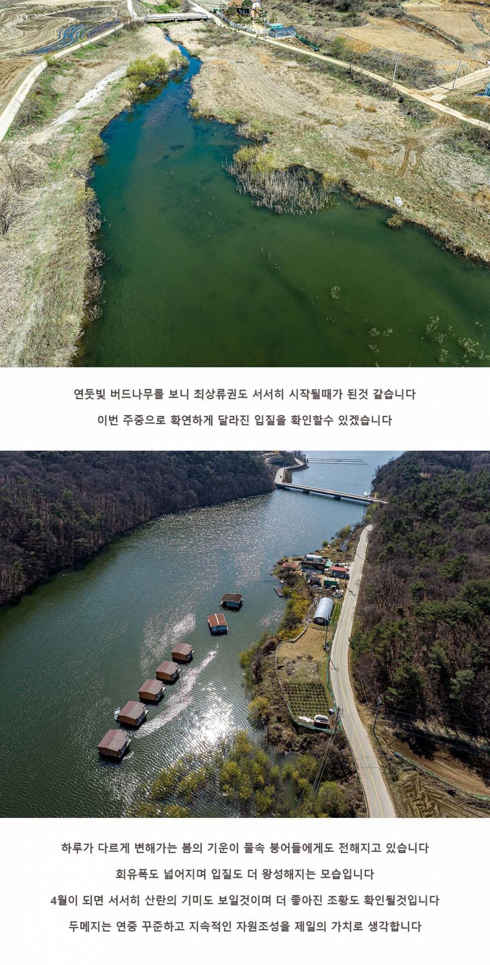안성 두메낚시터 3월 30일 조황정보 (유료터정보 - 유료터점주조황)
