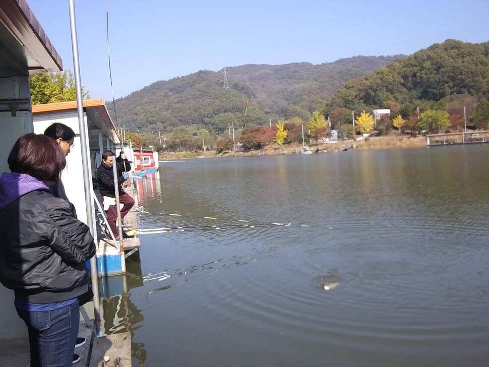 수곡낚시터 4짜 대물붕어가 또 나왔습니다 주말 조황 붕어방류 소식전합니다 (유료터정보 - 유료터점주조황)