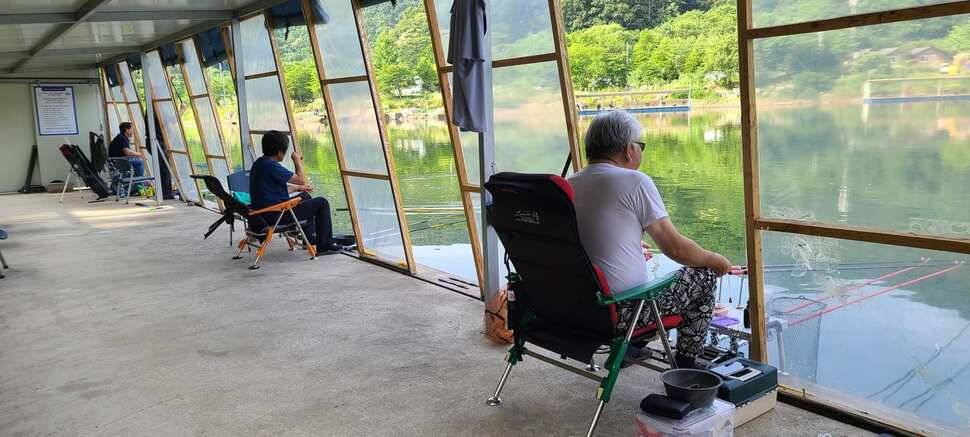 수곡낚시터 6월16일 주중 조황 및 금일 붕어 방류 완료하였습니다 (유료터정보 - 유료터점주조황)
