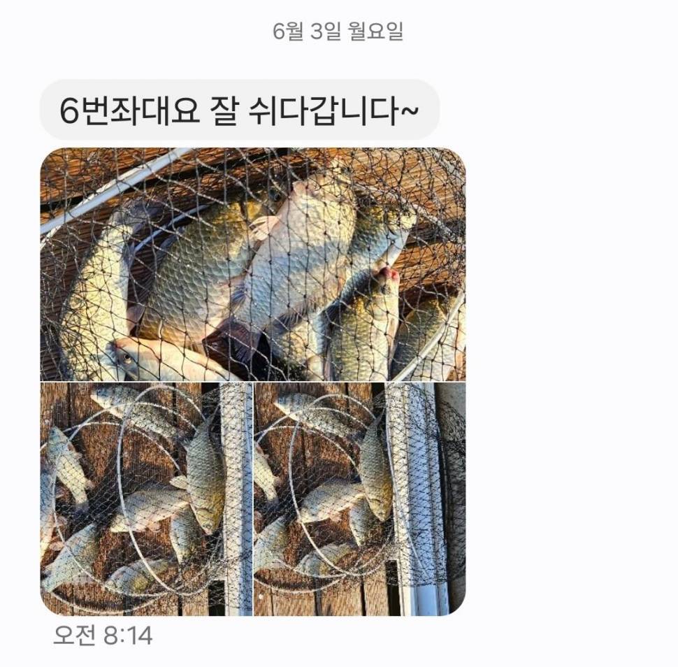 2024년 6월 첫째주 조황정보 용담낚시터사암지 4짜 4마리 (유료터정보 - 유료터점주조황)