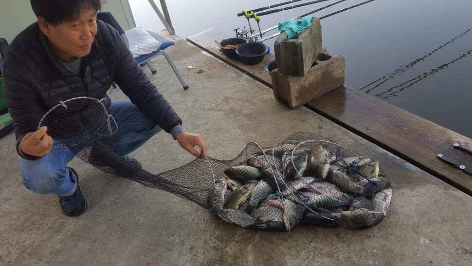 양평 붕어낚시 수곡낚시터 초대박 조황과 고른 조황이며 낮시간 부터 붕어들이 나와주네요 (유료터정보 - 유료터점주조황)