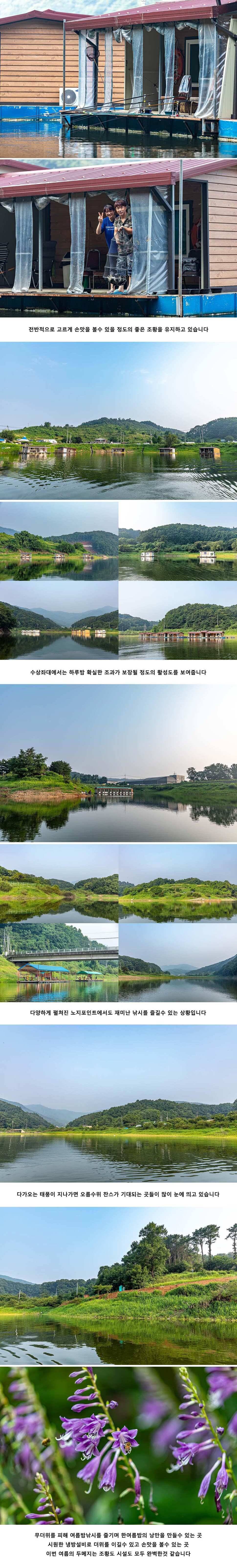 안성 두메낚시터 8월 5일 조황정보 (유료터정보 - 유료터점주조황)