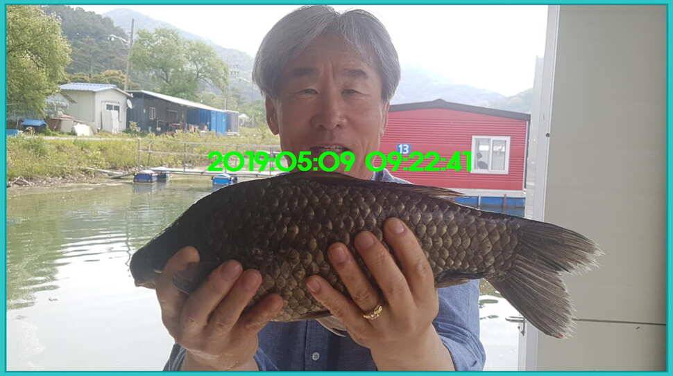 신원낚시터 토종대물 덩어리와 4짜가 계속 나옵니다쭉 (유료터정보 - 유료터점주조황)