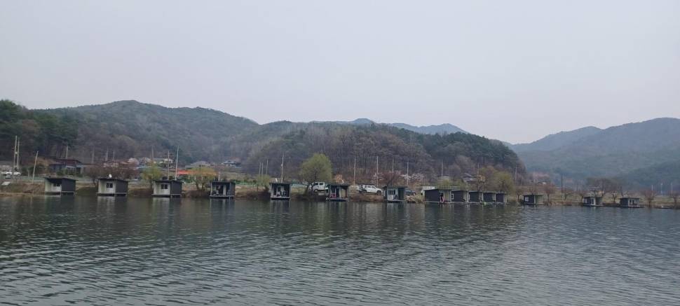 어우실지 붕어방류 (유료터정보 - 유료터점주조황)