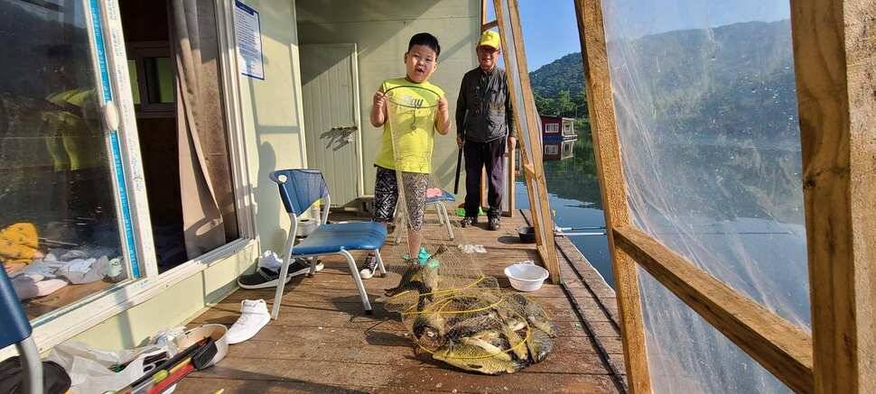 양평 낚시터 수곡낚시터 621 일요일 46cm 대물붕어 포함 씨알좋은 붕어들이 나와주네요 (유료터정보 - 유료터점주조황)