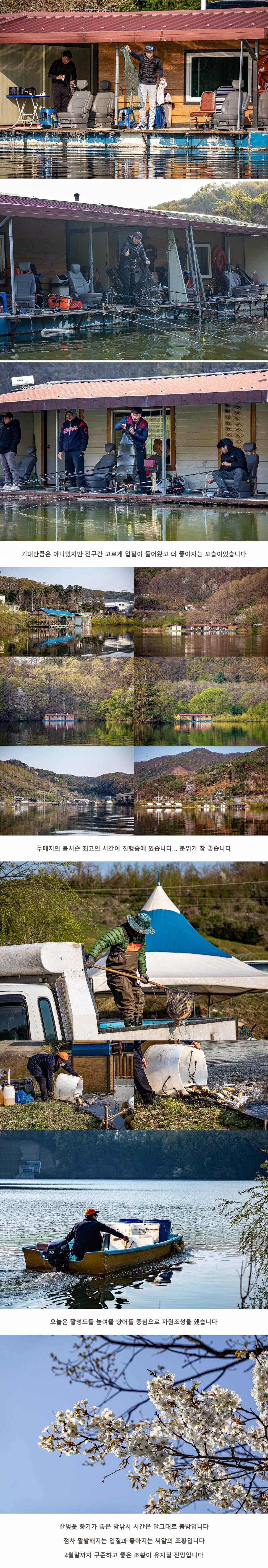 안성 두메낚시터 4월 10일 조황정보 (유료터정보 - 유료터점주조황)