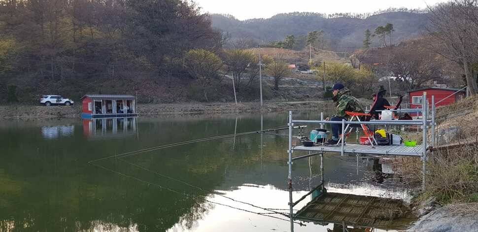 힐링 양평 수곡낚시터 4짜 대물붕어주중조황 및 붕어방류수상좌대 할인요금 안내 (유료터정보 - 유료터점주조황)